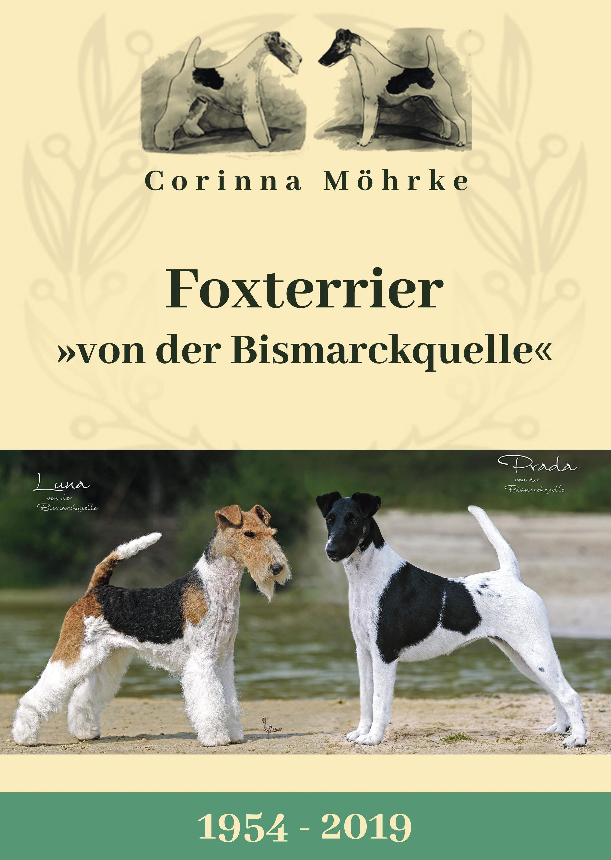 Bild eines Drahthaar-Foxterriers